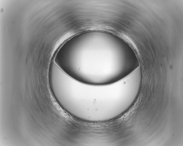 X0000088201138200705151019