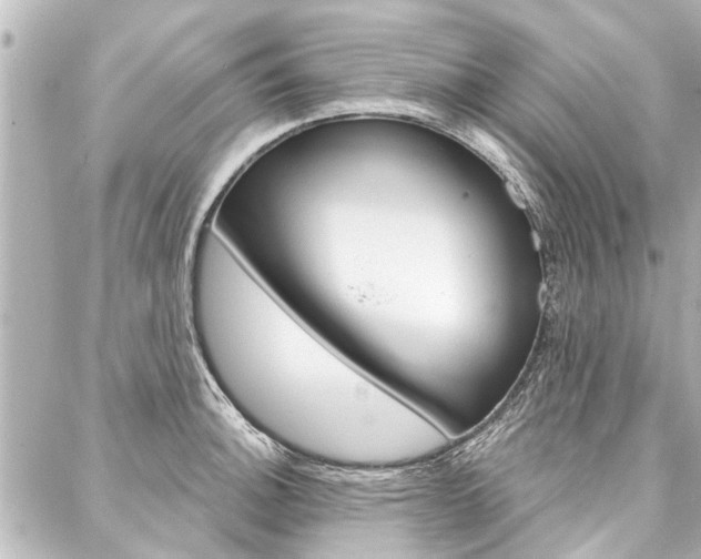 X0000088201140200705151019