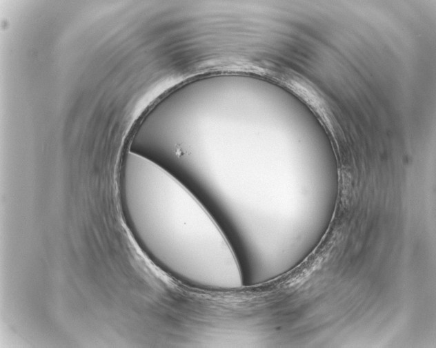 X0000088201141200705151019