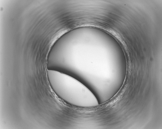 X0000088201145200705151019
