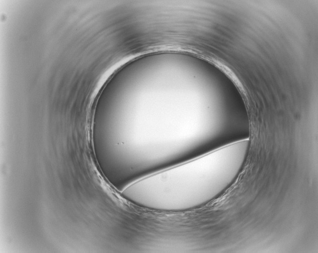 X0000088201148200705151019