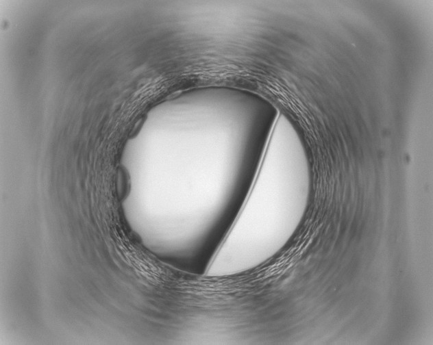 X0000088201153200705151019
