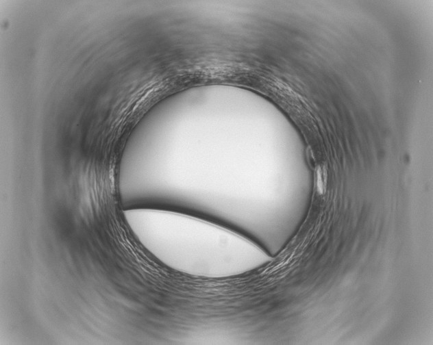 X0000088201155200705151018