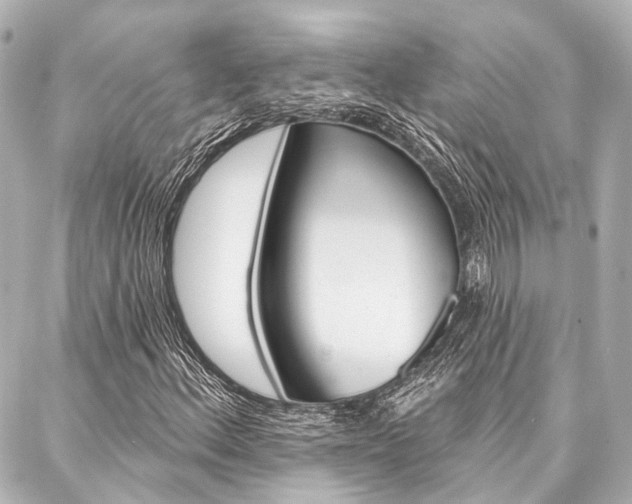 X0000088201156200705151018