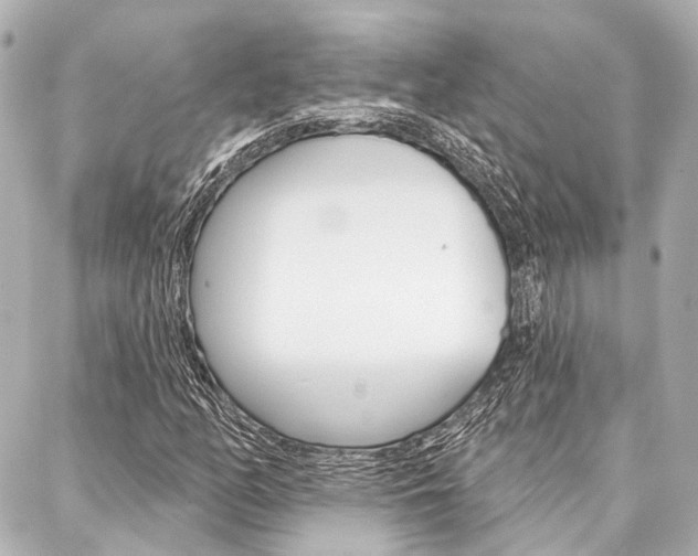 X0000088201158200705151018