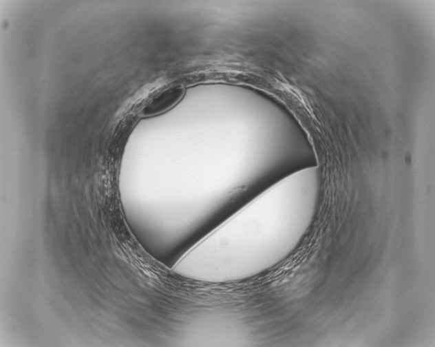 X0000088201159200705151018