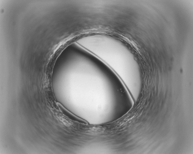 X0000088201160200705151018