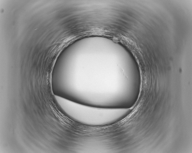 X0000088201161200705151018