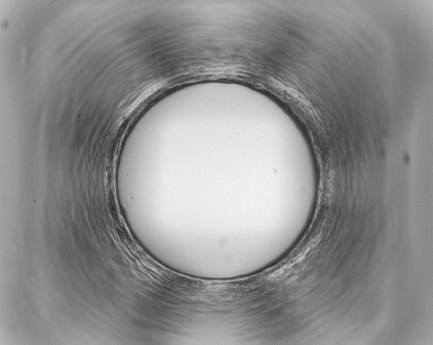 X0000088201162200705151018