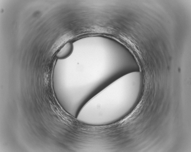 X0000088201163200705151018