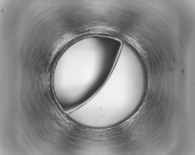 X0000088201164200705151018