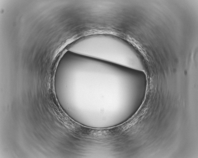 X0000088201165200705151018