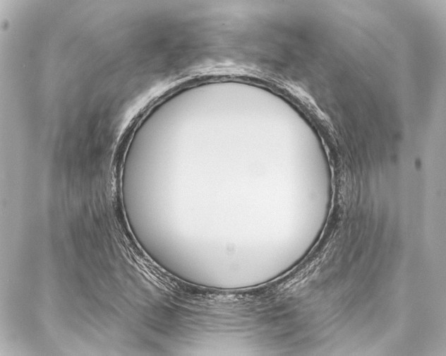 X0000088201167200705151018