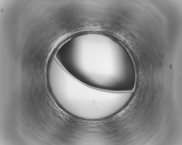X0000088201168200705151018
