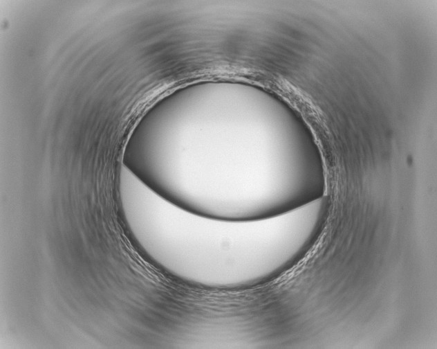 X0000088201169200705151018