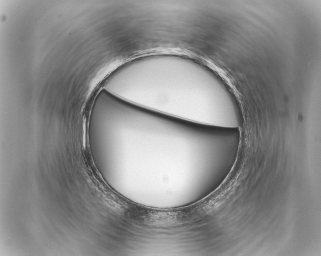 X0000088201171200705151018