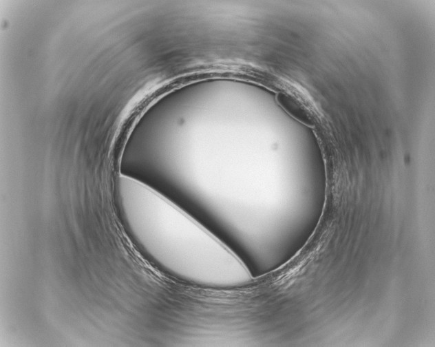 X0000088201172200705151018