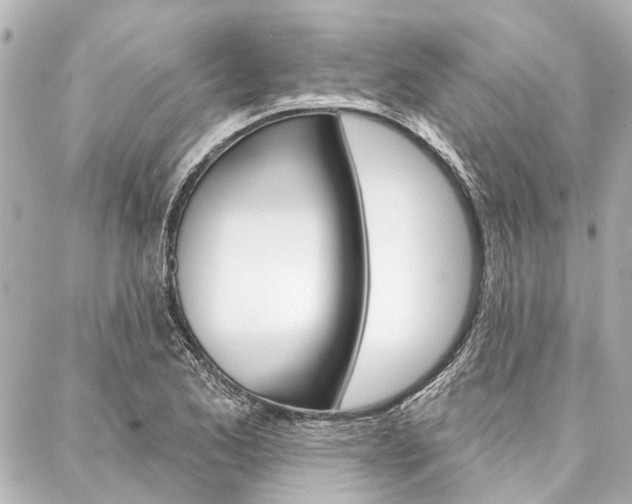 X0000088201173200705151018