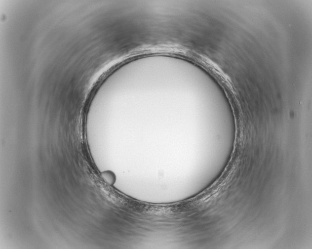X0000088201174200705151018