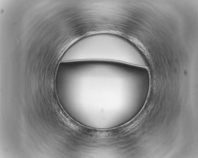 X0000088201177200705151018