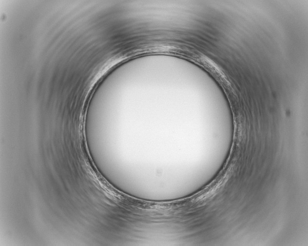 X0000088201178200705151018