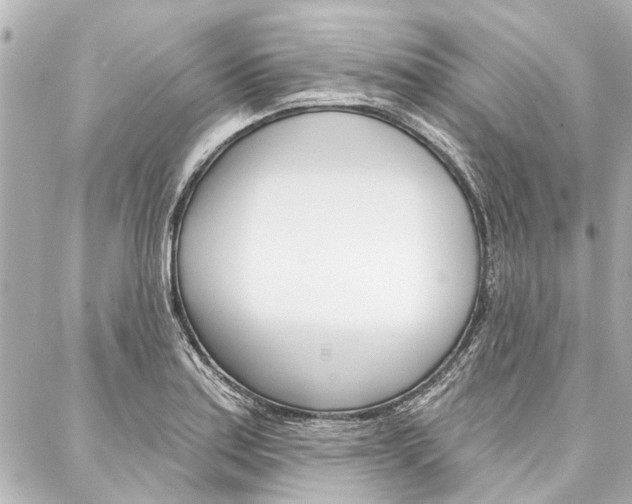 X0000088201179200705151018