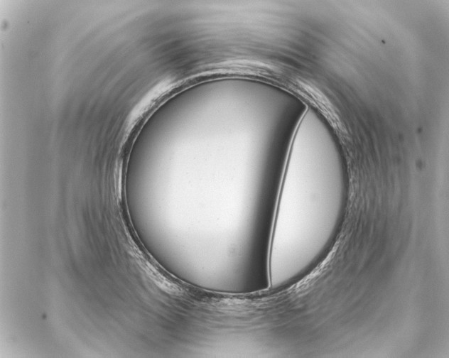 X0000088201180200705151018