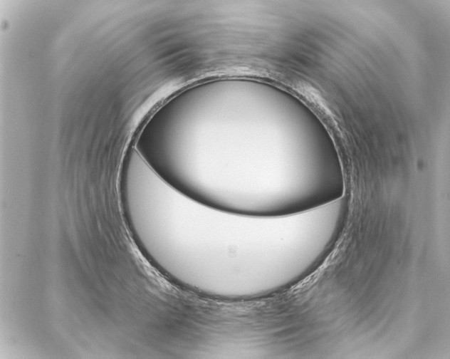 X0000088201181200705151018