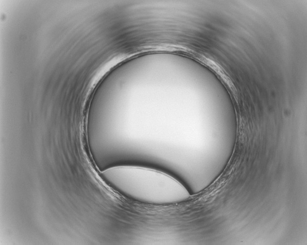 X0000088201187200705151018
