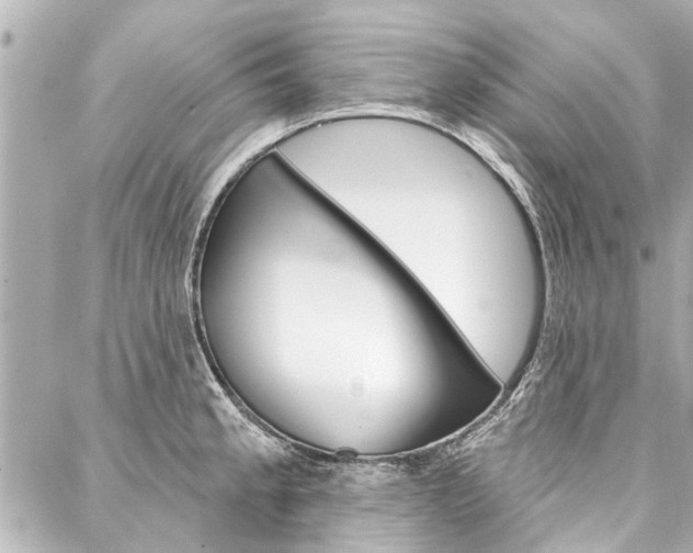 X0000088201189200705151018