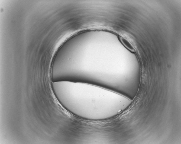 X0000088201191200705151018