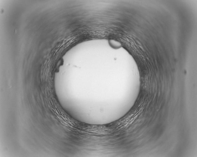 X0000088201201200705151017