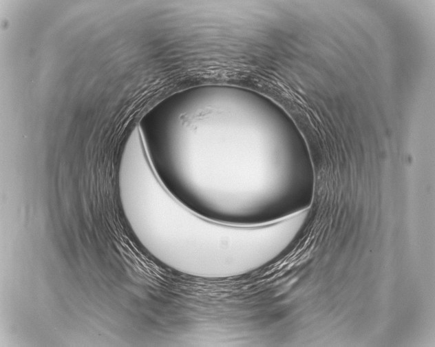 X0000088201202200705151017