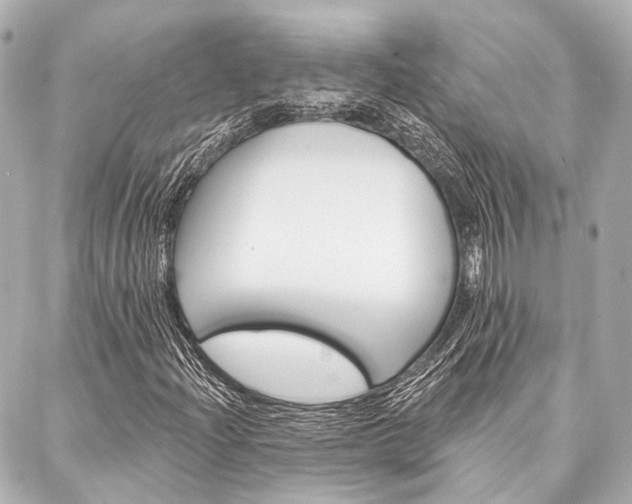 X0000088201204200705151017