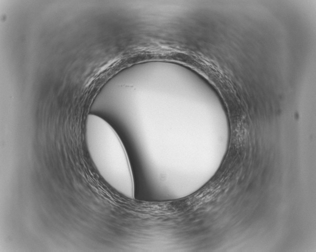 X0000088201205200705151017