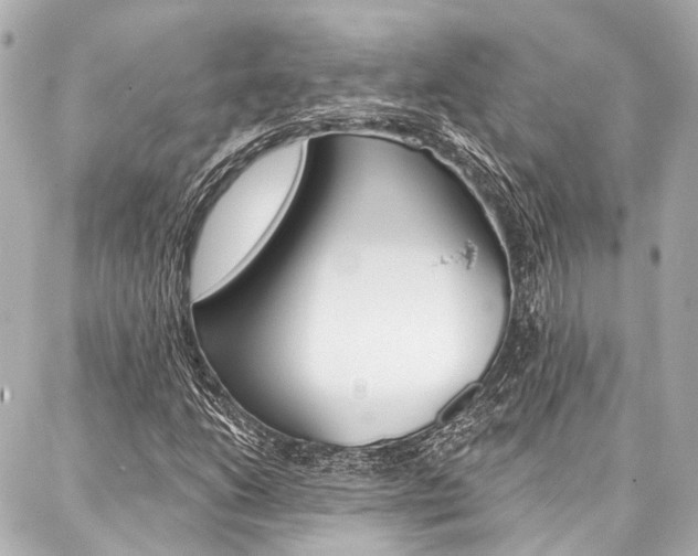 X0000088201206200705151017