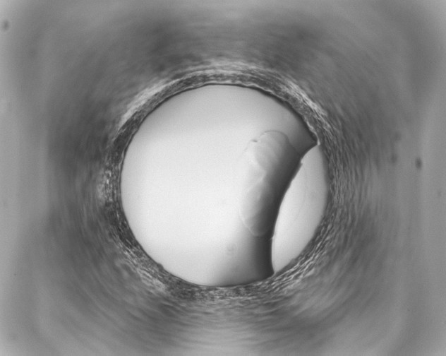X0000088201208200705151017