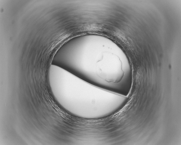 X0000088201209200705151017