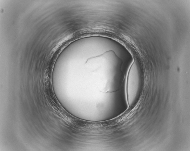 X0000088201210200705151017