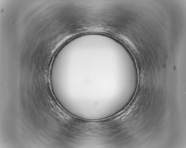 X0000088201212200705151017
