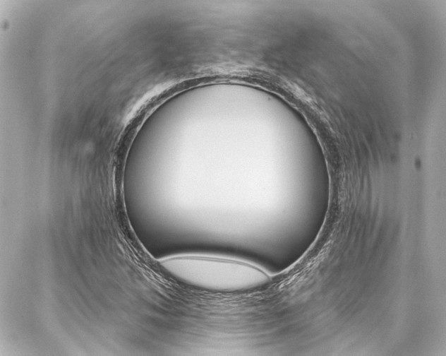 X0000088201214200705151017