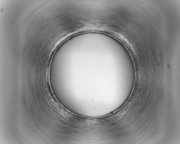 X0000088201220200705151017