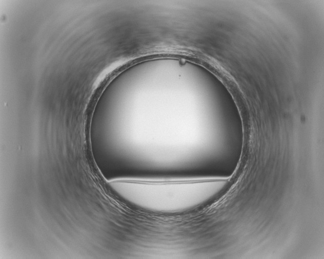 X0000088201222200705151017