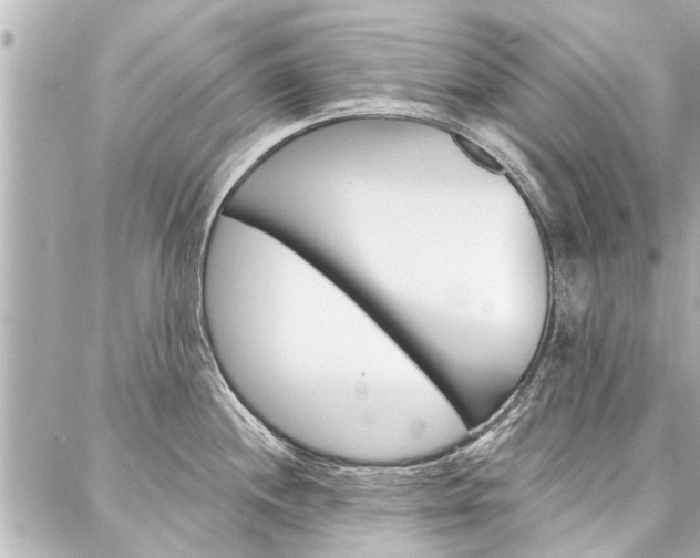 X0000088201244200705151018