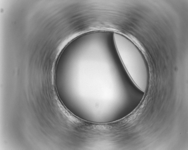 X0000088201246200705151018