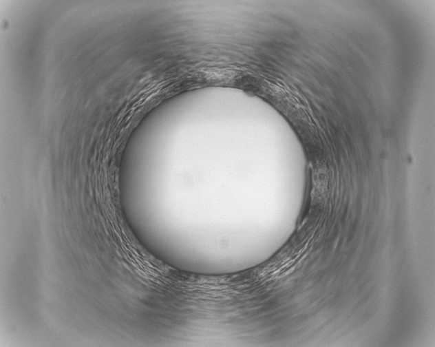 X0000088201249200705151017