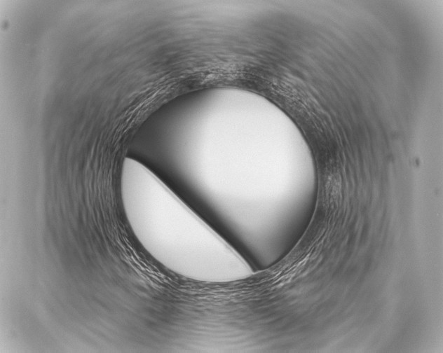 X0000088201250200705151017