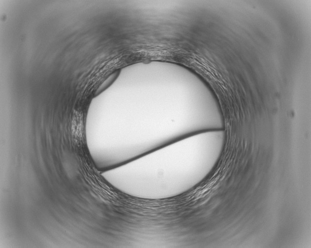 X0000088201251200705151017