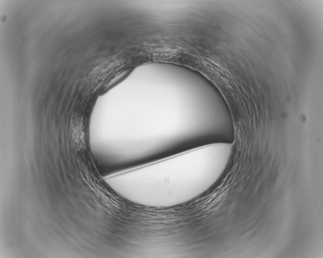 X0000088201252200705151017