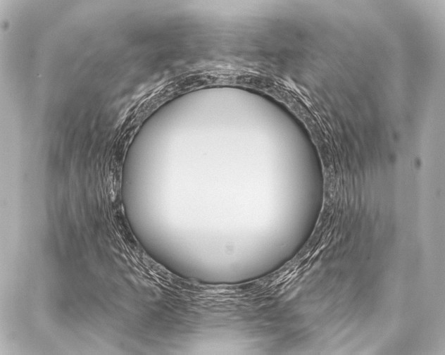 X0000088201253200705151017